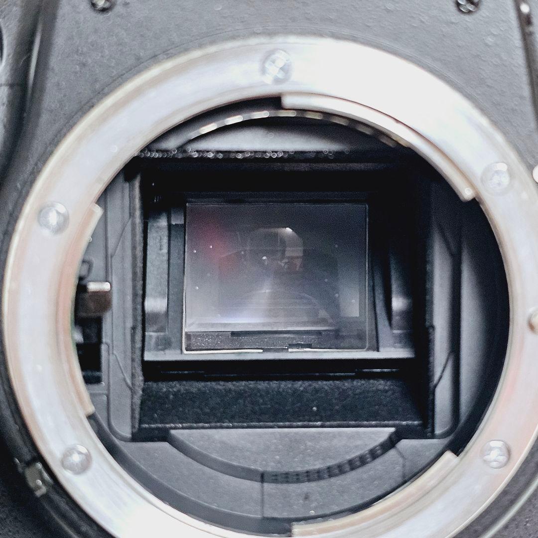 Nikon D5000 ズームレンズ　収納バッグ付き