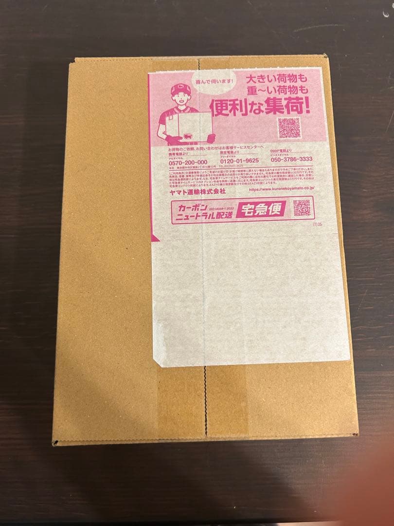 ポケセン産　MEGAドリームex 1BOX 未開封