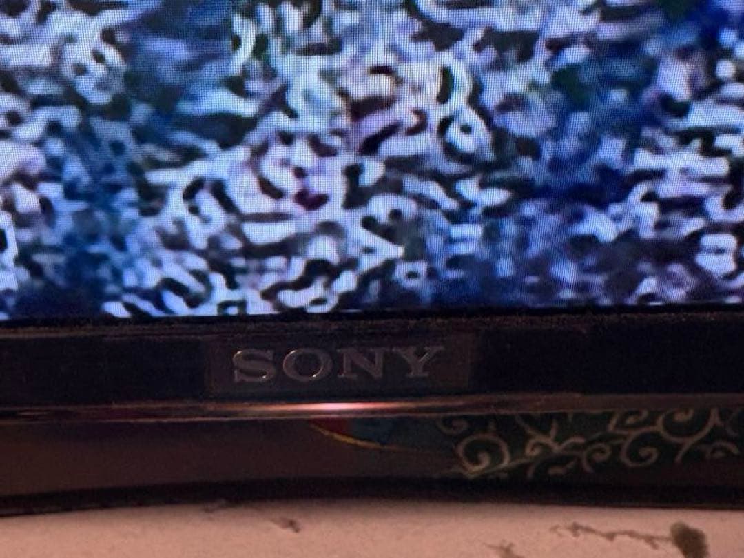 ピスタチオ　SONY BRAVIA 4K 55型　TV