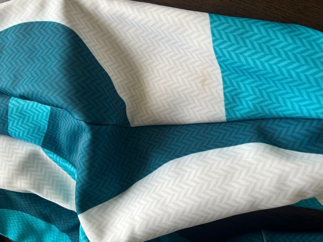 Goldwin ジュニア アルペンスキー　レーシングワンピース　140