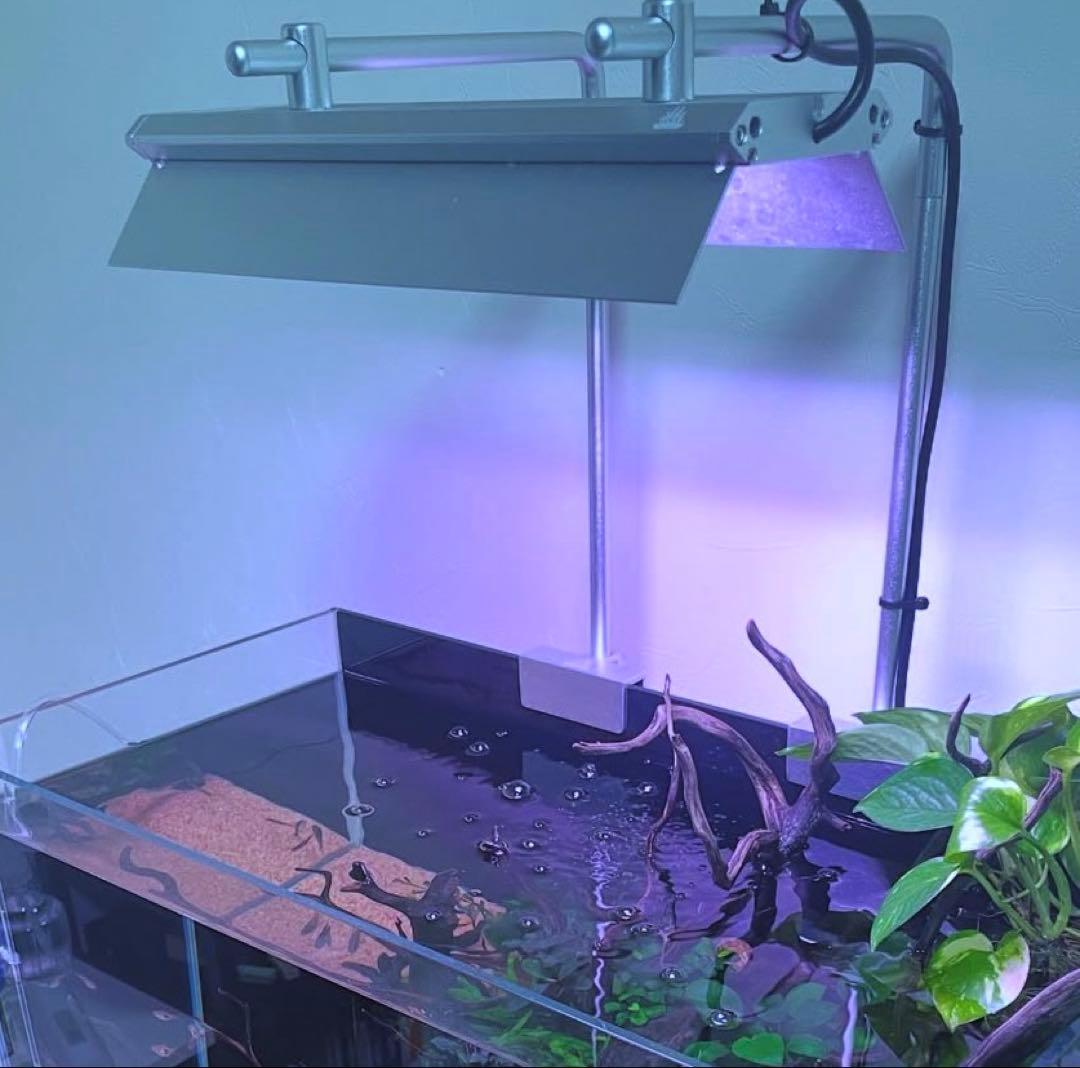 WEEK AQUA RGBライト スタンド付き　フルセット