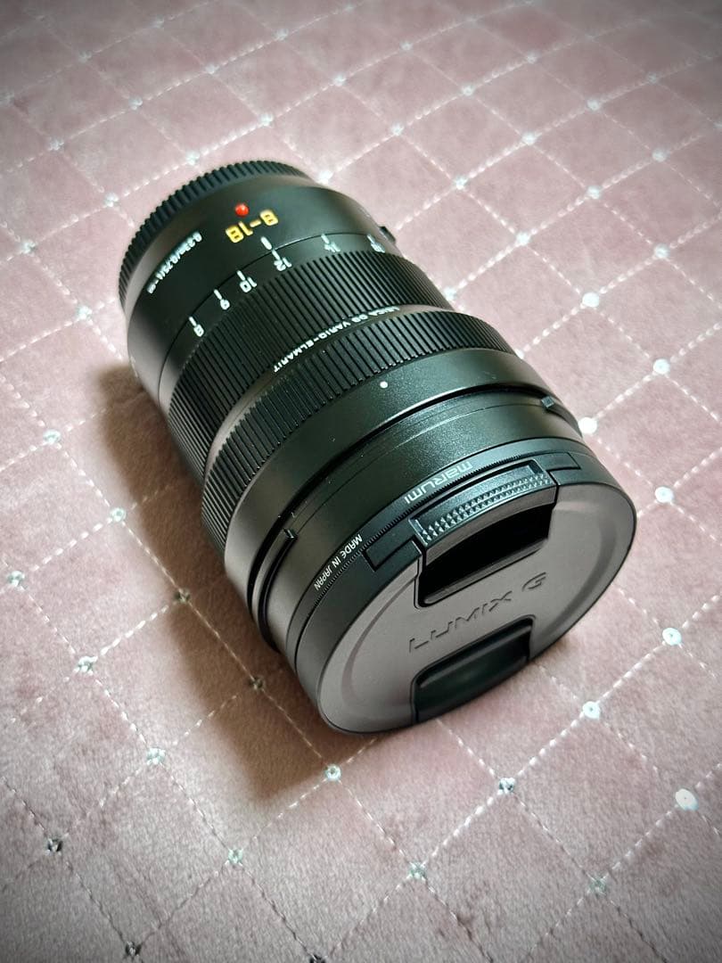 【極美品】LUMIX VARIO ELMARIT 8-18mm F2.8-4.0