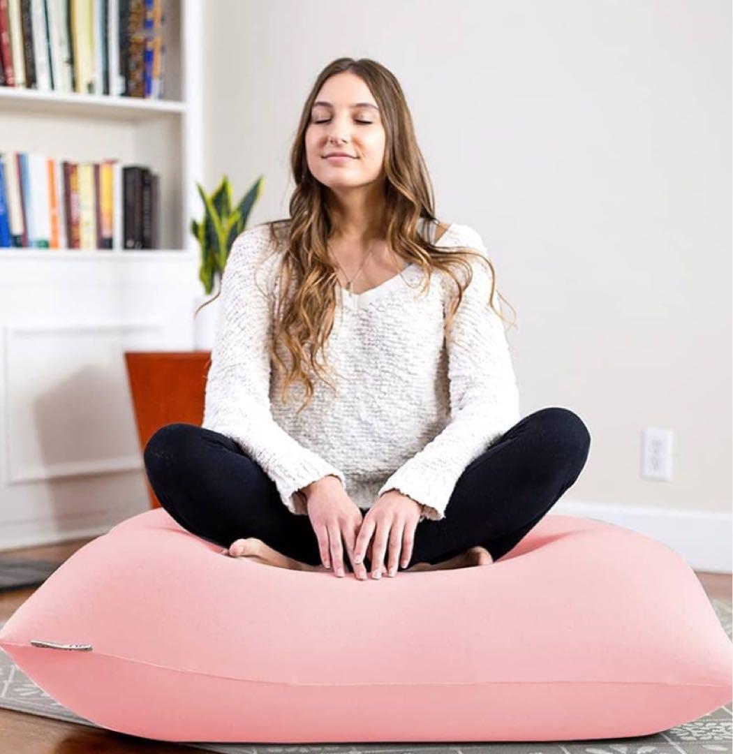 Yogibo Mini Premium ヨギボー ミニ プレミアム《送料込》