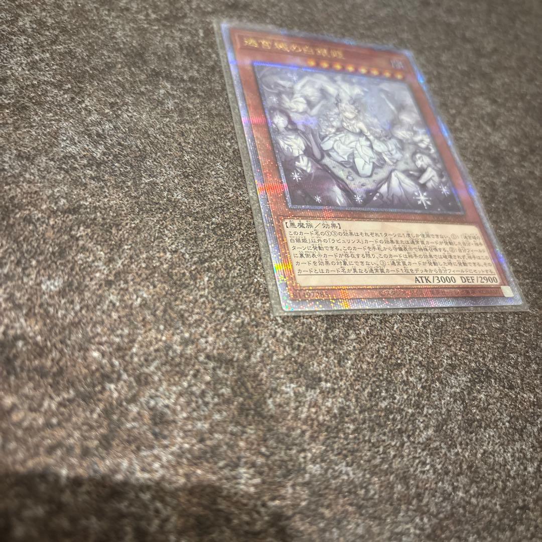 迷宮城の白銀姫 絵違い(レディ・オブ・ラビュリンス)25th クオシク