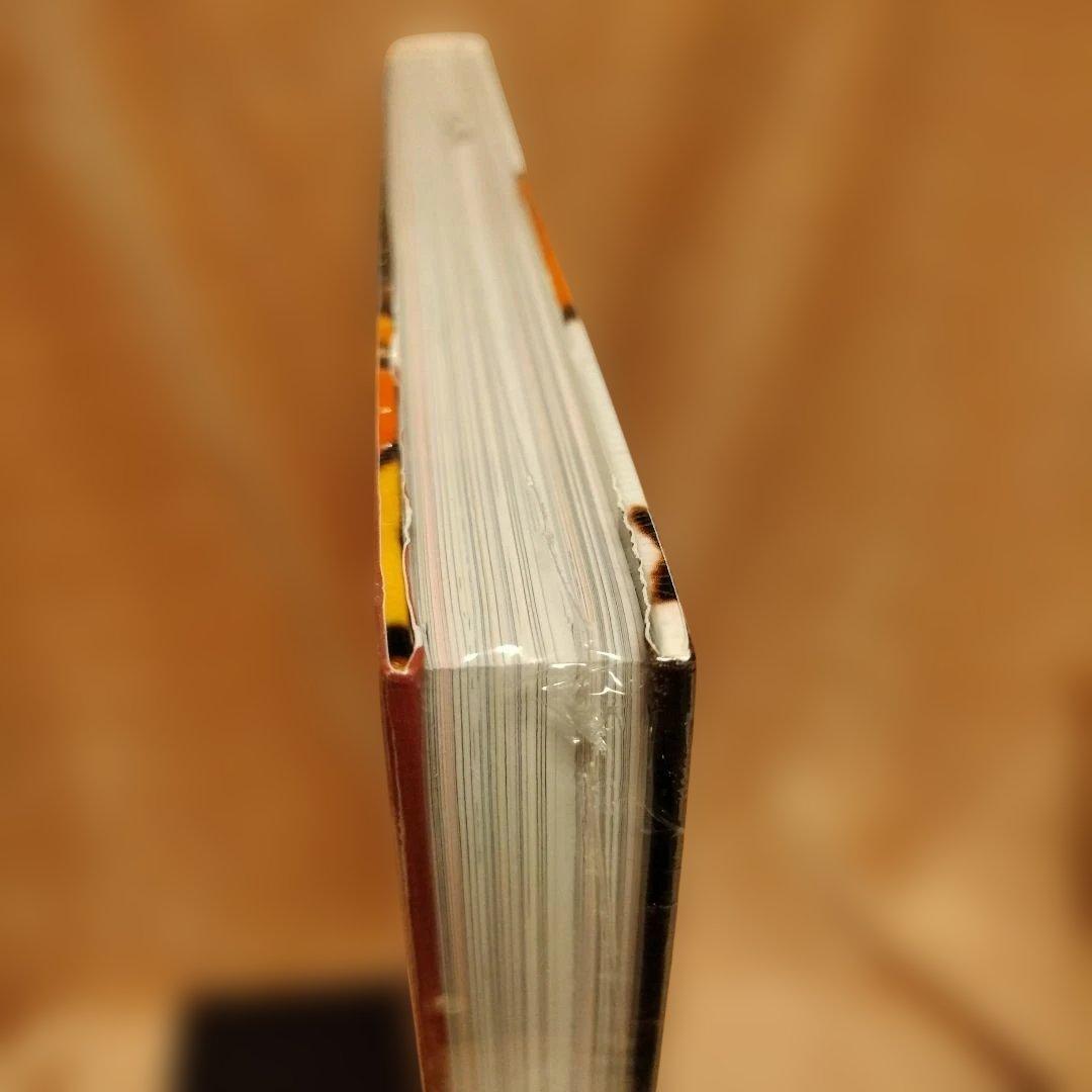 未開封　ロッキン・ジェリービーン画集