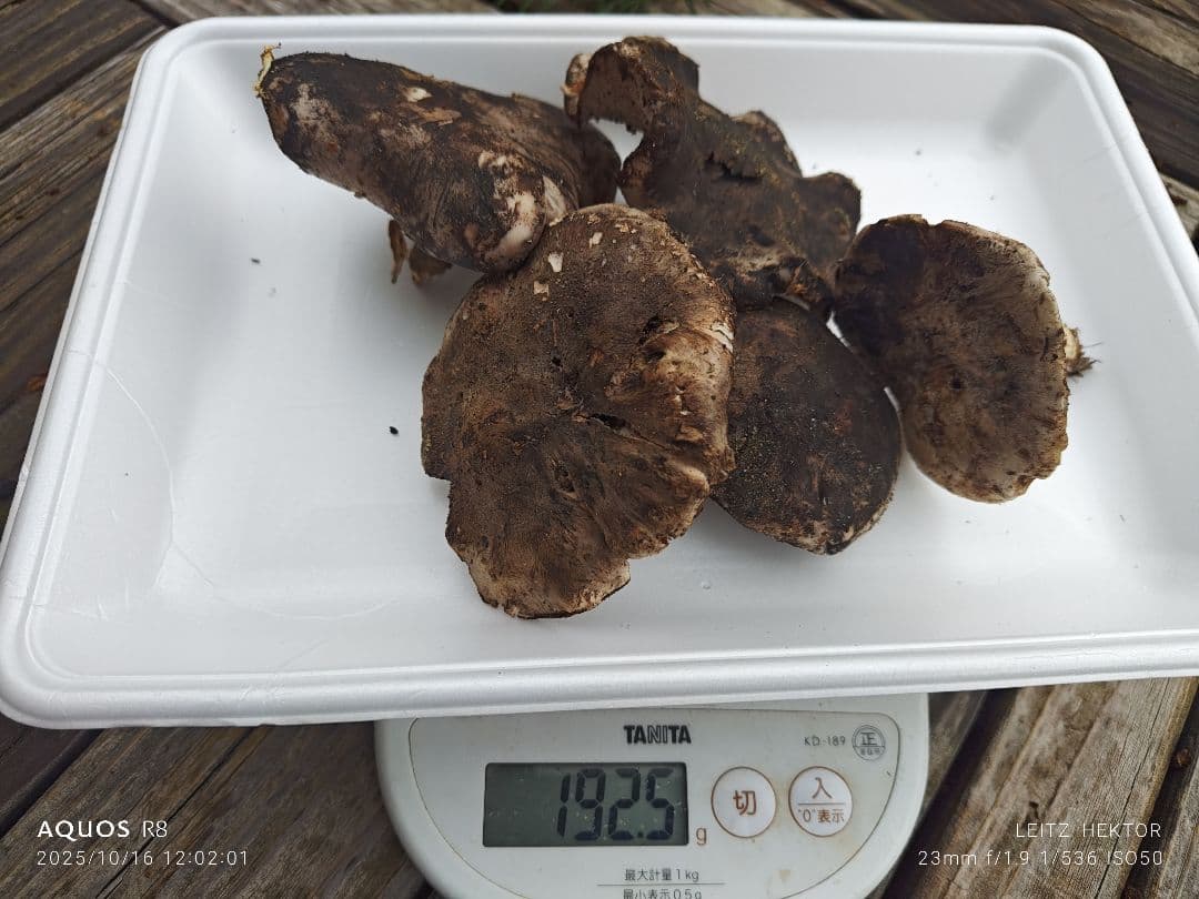 信州産きのこ3セット！！