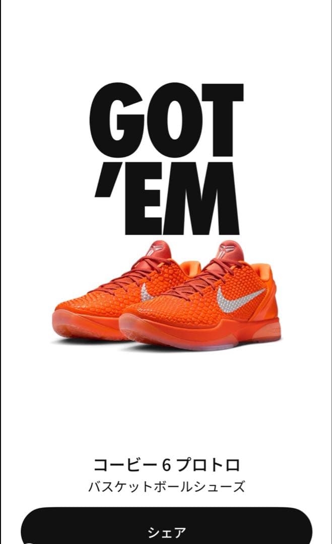 カリー着用　NIKE Kobe6 Protro