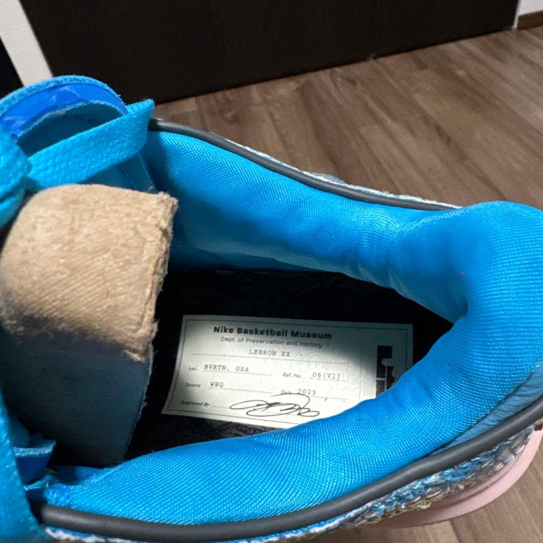 NIKE LEBRON XX ASW EP サイズ26.5cm 新品未使用