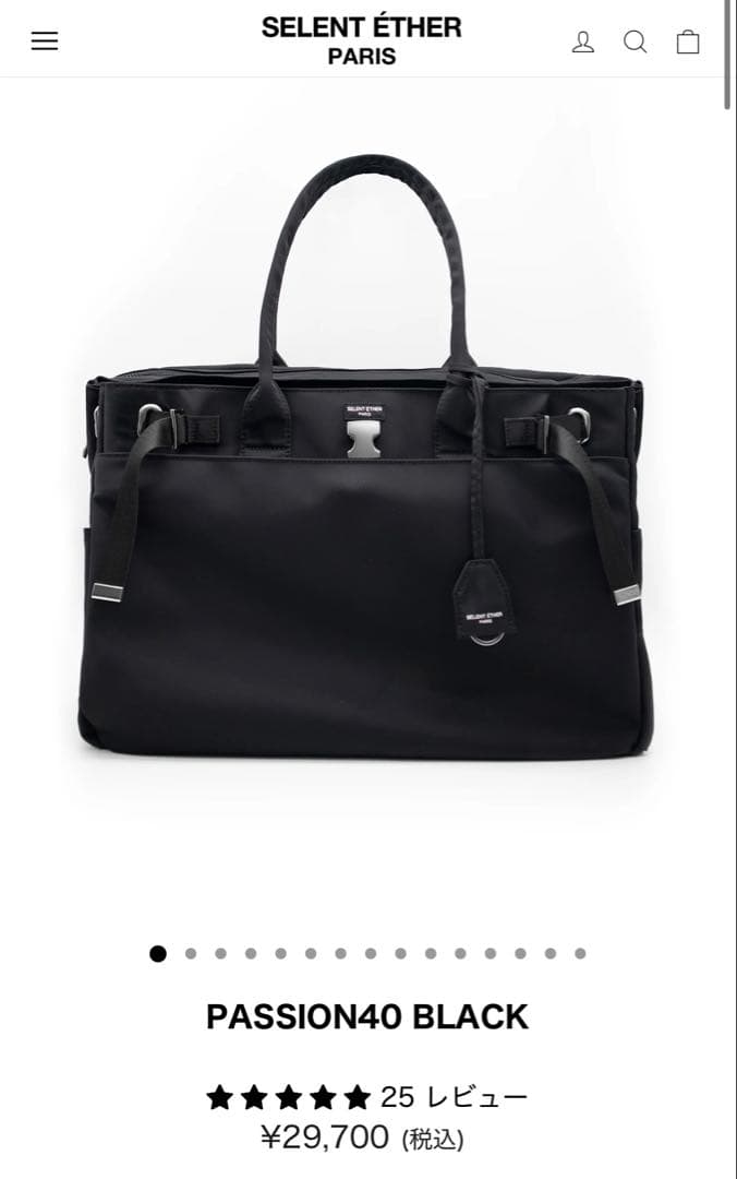 【極美品】セレーンエテール PASSION40 BLACK silver