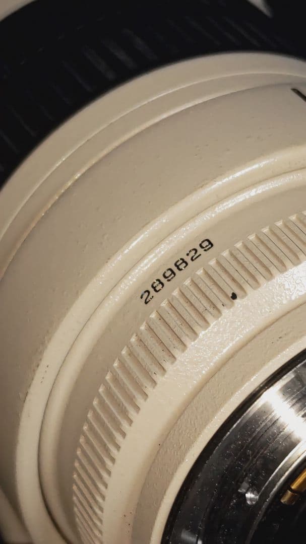 Canon EF 70-200mm f/2.8L IS USM レンズ