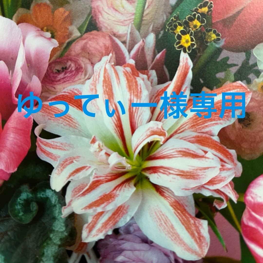 ゆってぃーページ