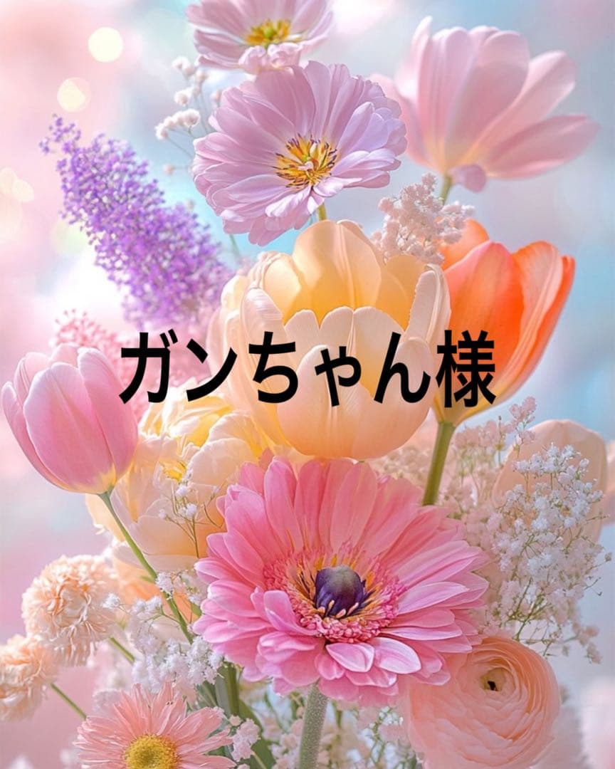 ガンちゃん出品になります。