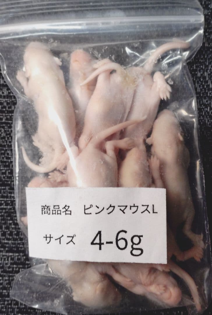 タカポコ　冷凍ピンクマウスＬ100匹　ピンクS50匹
