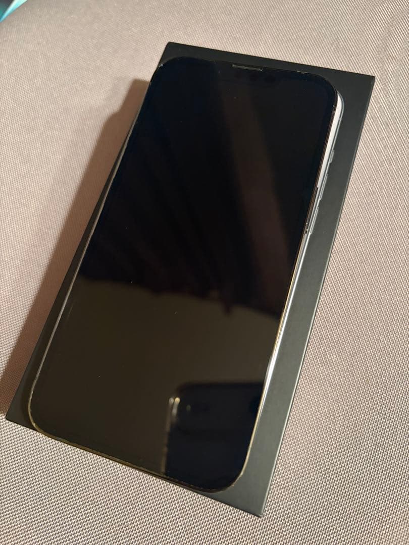 Apple iPhone 13 Pro グラファイト 本体 256GB