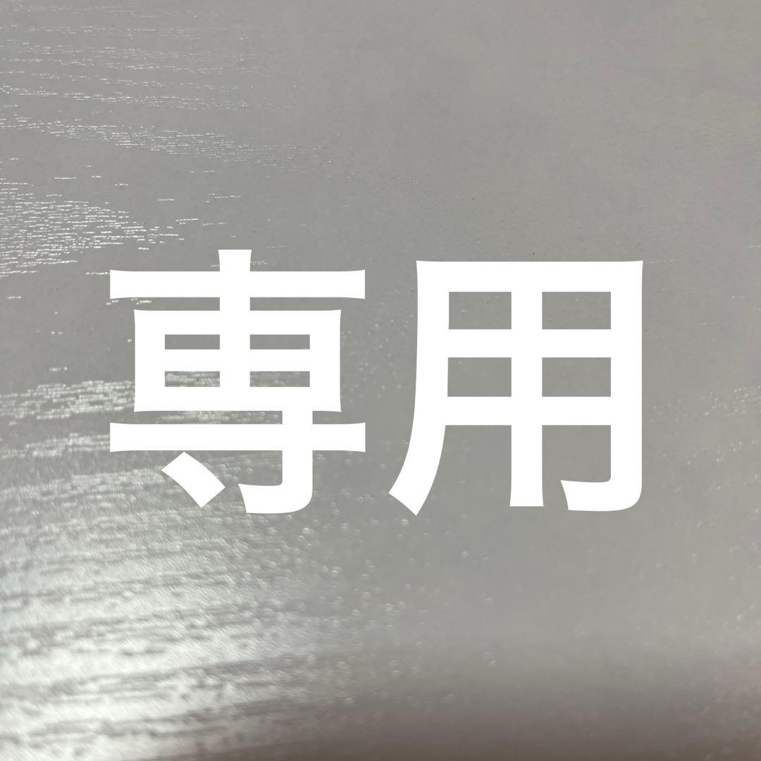 ⭐︎やまにゃんさん専用⭐︎