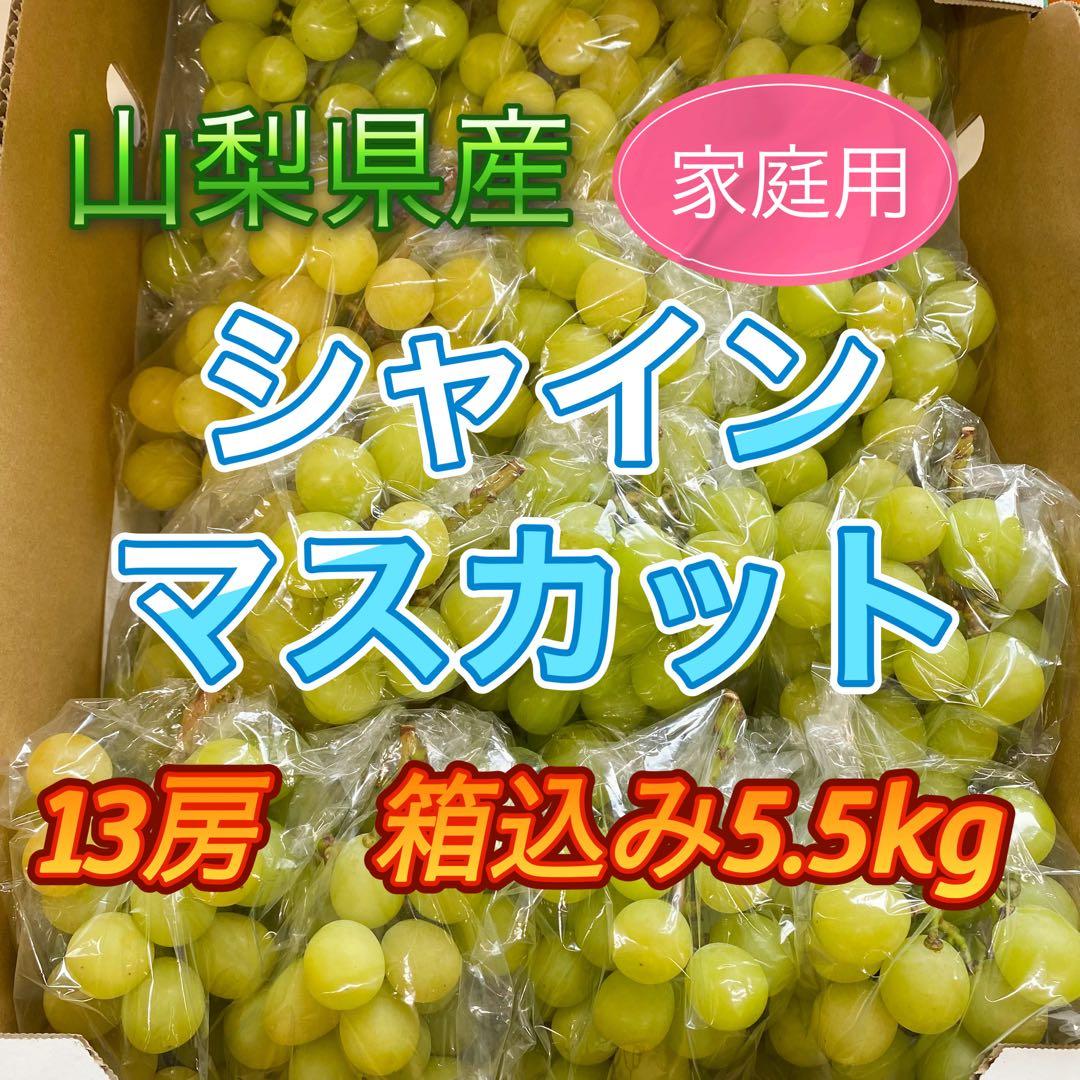 山梨県産　訳あり　家庭用　シャインマスカット　13房　箱込み5.5kg ②