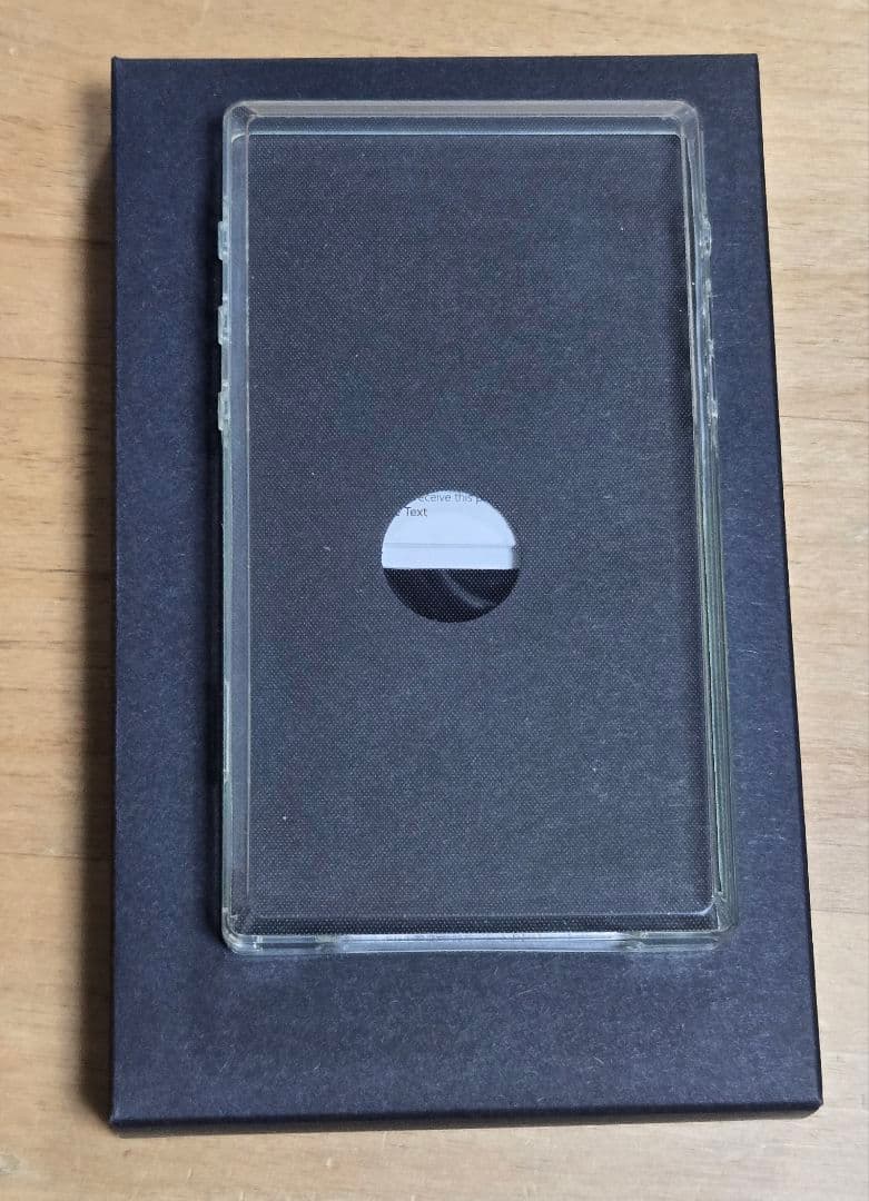 FiiO JM21 デジタルオーディオプレーヤー DAP 国内正規品