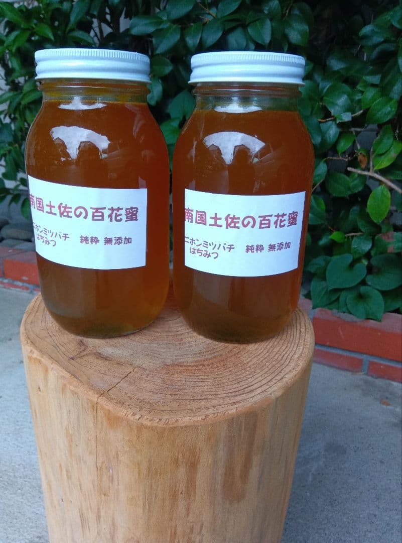 ニホンミツバチ　南国土佐の百花蜜2400g　無添加　無加工　たれ蜜