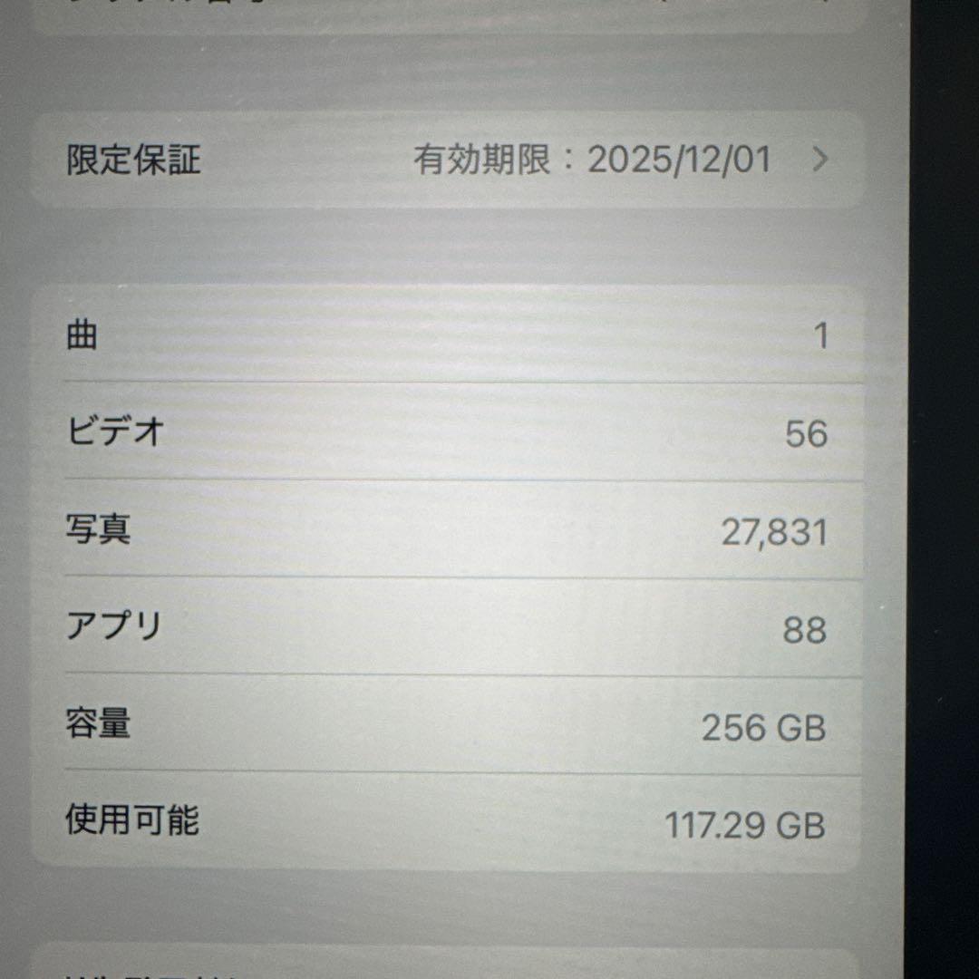 ipad mini 第7世代 A17 Pro