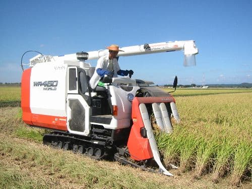 玄米20kg岩手県奥州市前沢産ひとめぼれ令和7年産米