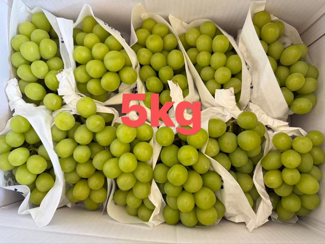 クール便発送　当日発送可　山梨県産　シャインマスカット　5kg 農家直送