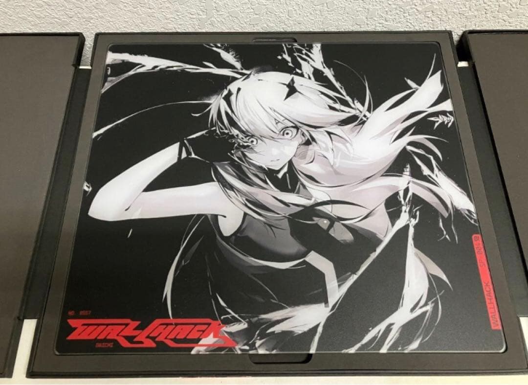 WALLHACK SP-004 限定版 Frenzy Sora 新品未使用
