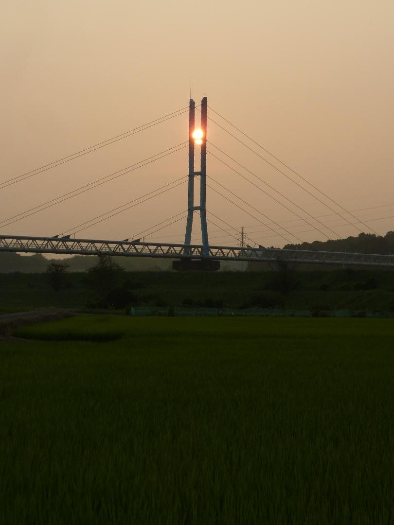 Panasonic LUMIX TZ10 デジタルカメラ