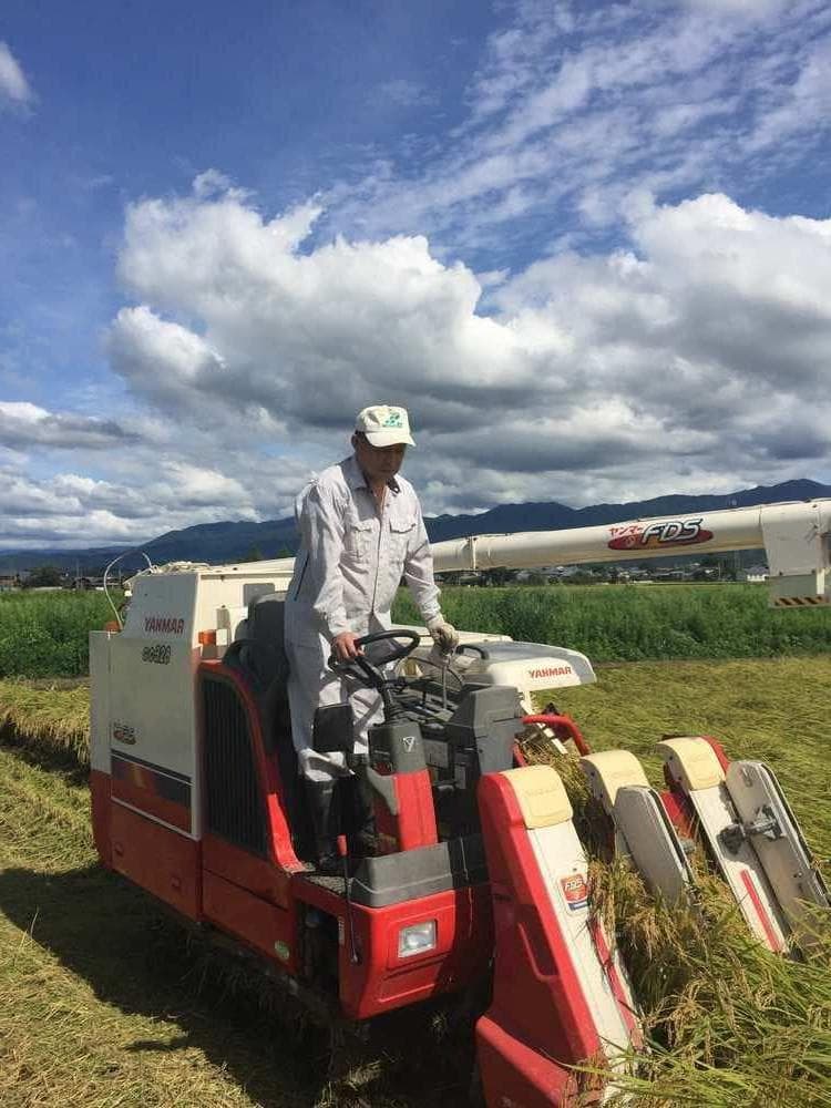 大粒な新米・令和7年産　新潟新之助　白米5キロ4個 2０キロ　精米無料★農家直送