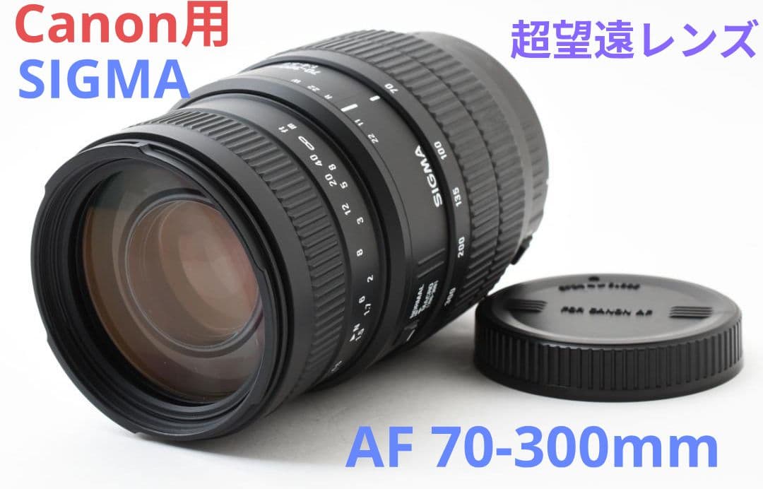 12月17日限定価格【Canon用】SIGMA AF 70-300mm