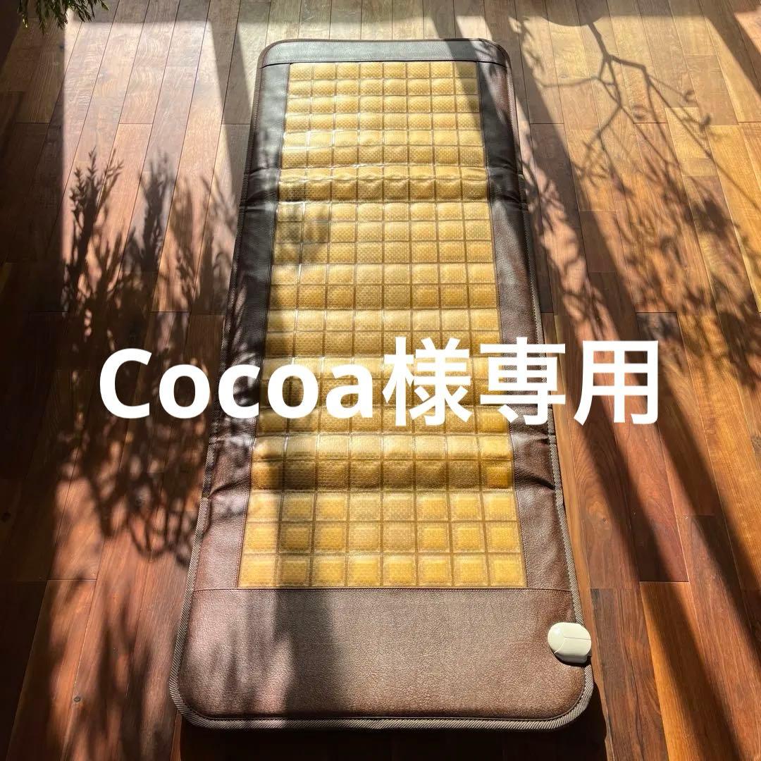 定価20万円　岩盤浴マット ブラックシリカ ゲルマニウム ラドン 3種プレート