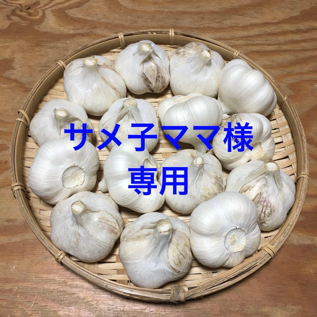 青森県産 にんにく サメ子ママ