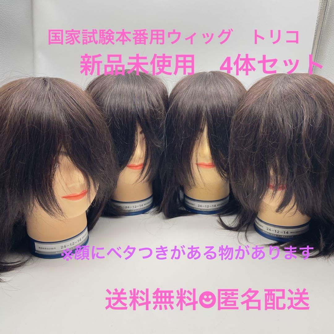 カットウィッグ　カットマネキン　美容師　理容師　国家試験　トリダストリーズ