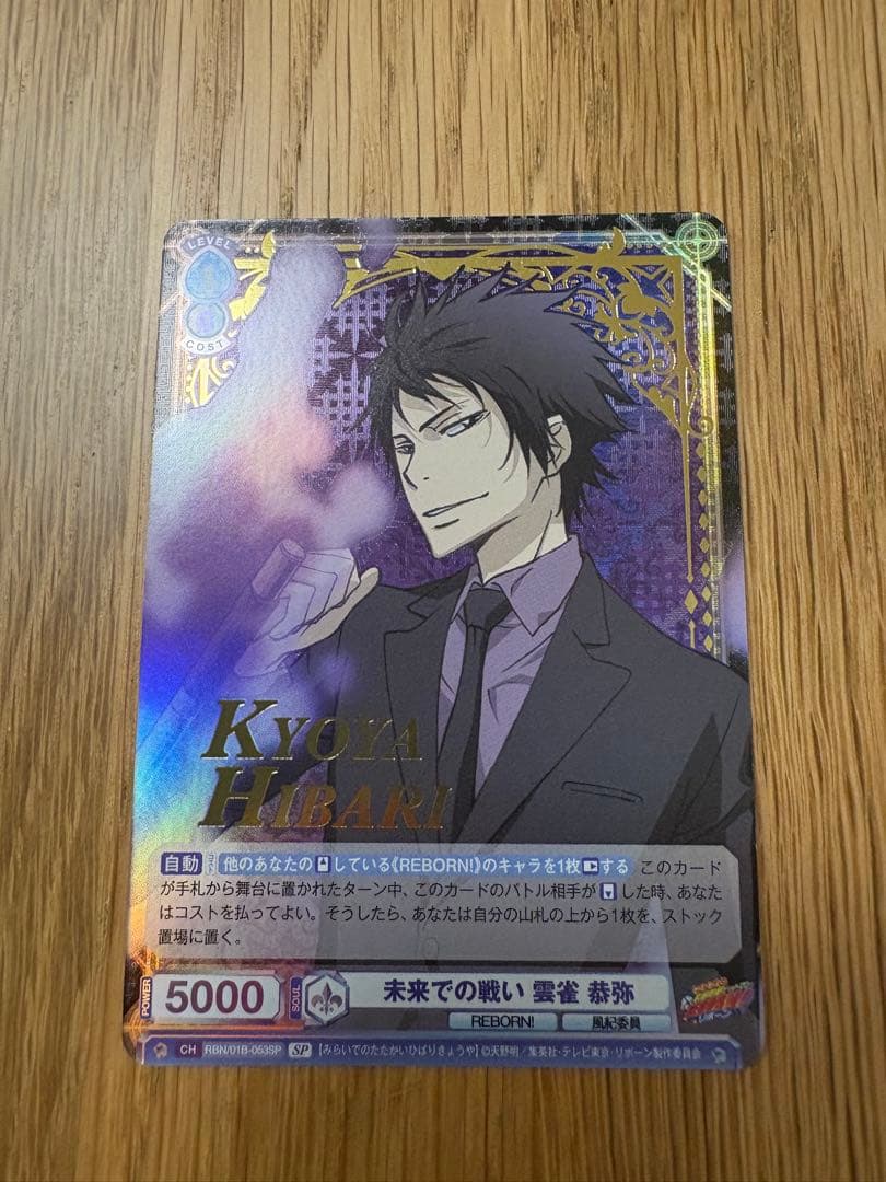 REBORN ヴァイスシュヴァルツブラウ　SP 未来での戦い　雲雀恭弥