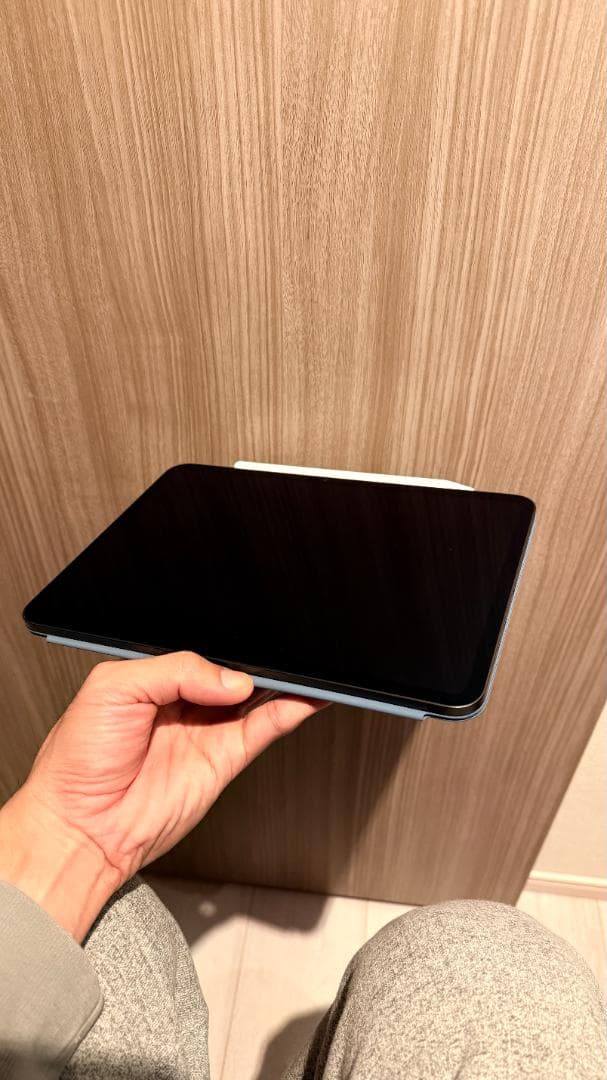 iPad本体 iPad Pro (M4) 11 inch Wi-Fi 256GB(A2836)