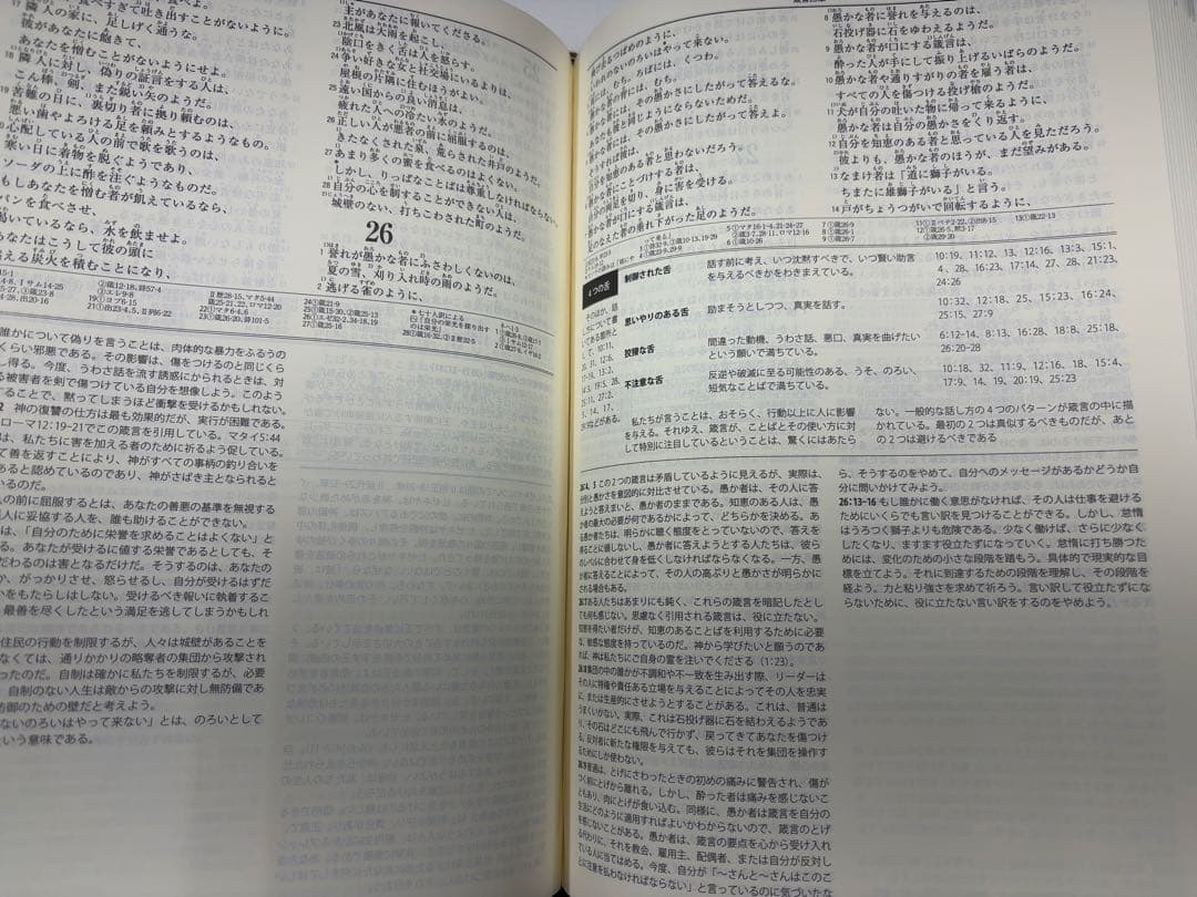 【第三版】旧BIBLE navi バイブルナビ 「聖書 新改訳第三版対応 」