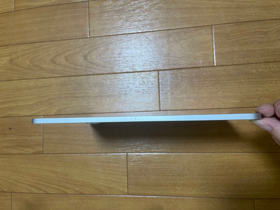 Apple iPad Pro (第2世代) 11インチ 256GB