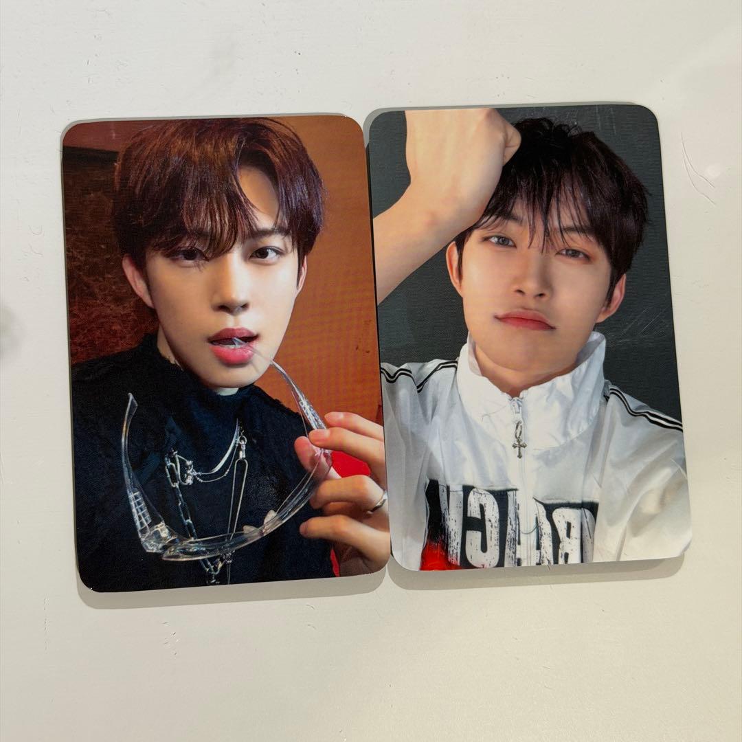 ALD1 EUPHORIA トレカ ショーケース ショケ ゴヌ