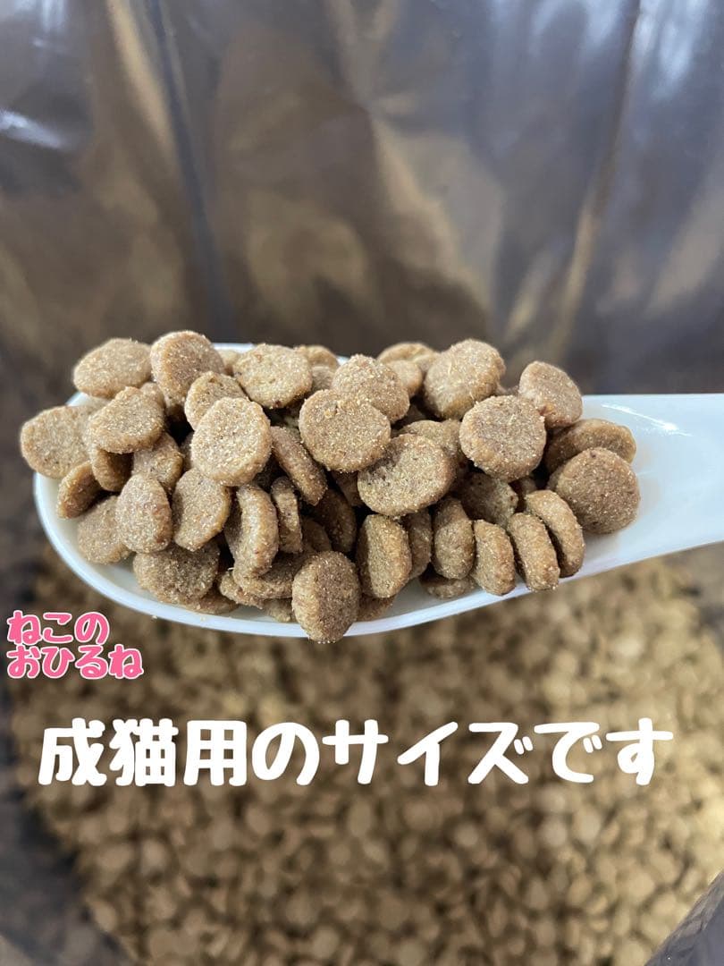 ニュートロ　シュプレモ　成猫用（チキン&サーモン）3kgパック×４袋