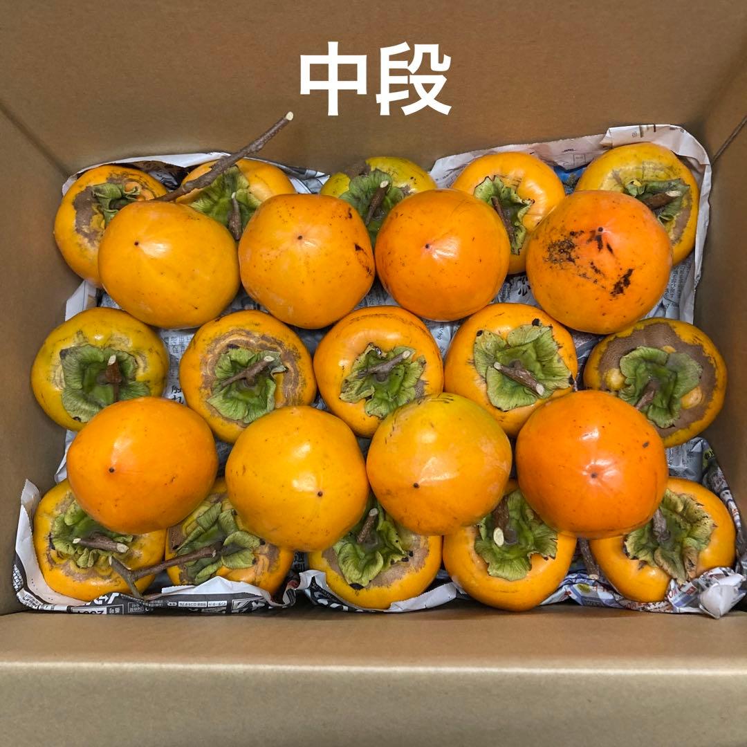 ①【ねろり】干し柿用渋柿 蜂屋柿 20kg