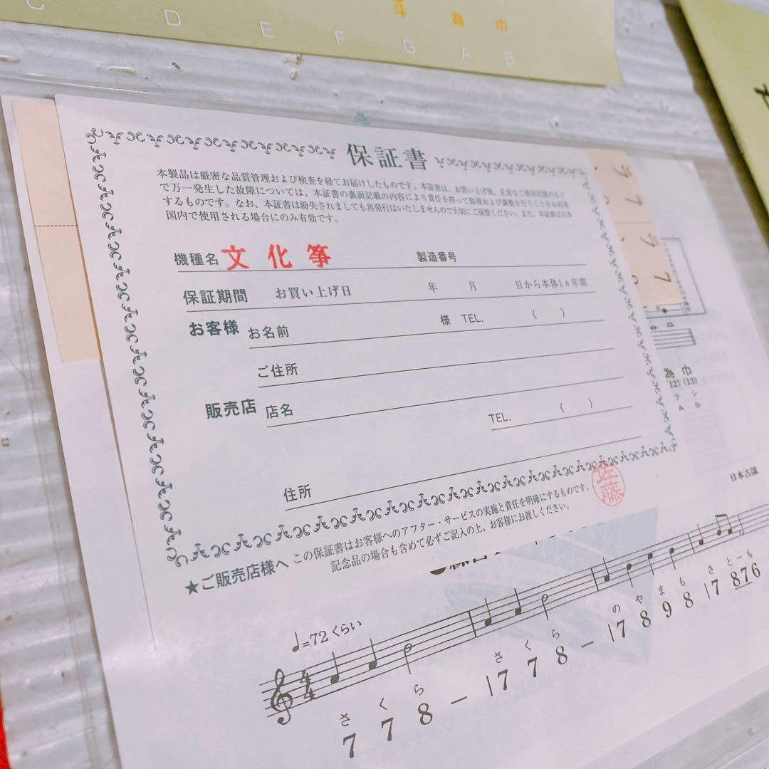 ゼンオン 文化琴 羽衣 ケース付き