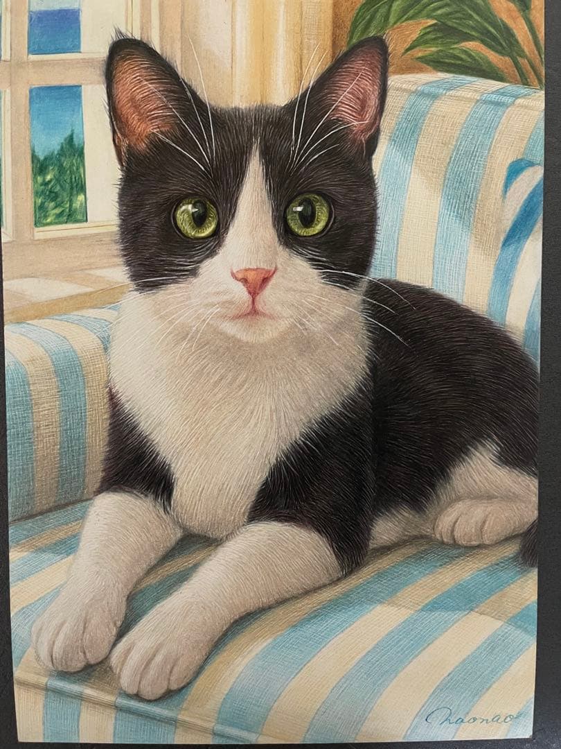 色鉛筆画 A4 ハチワレ猫130