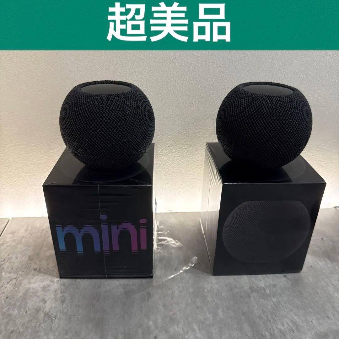 Pod mini スペースグレイ　2個セット　ステレオ