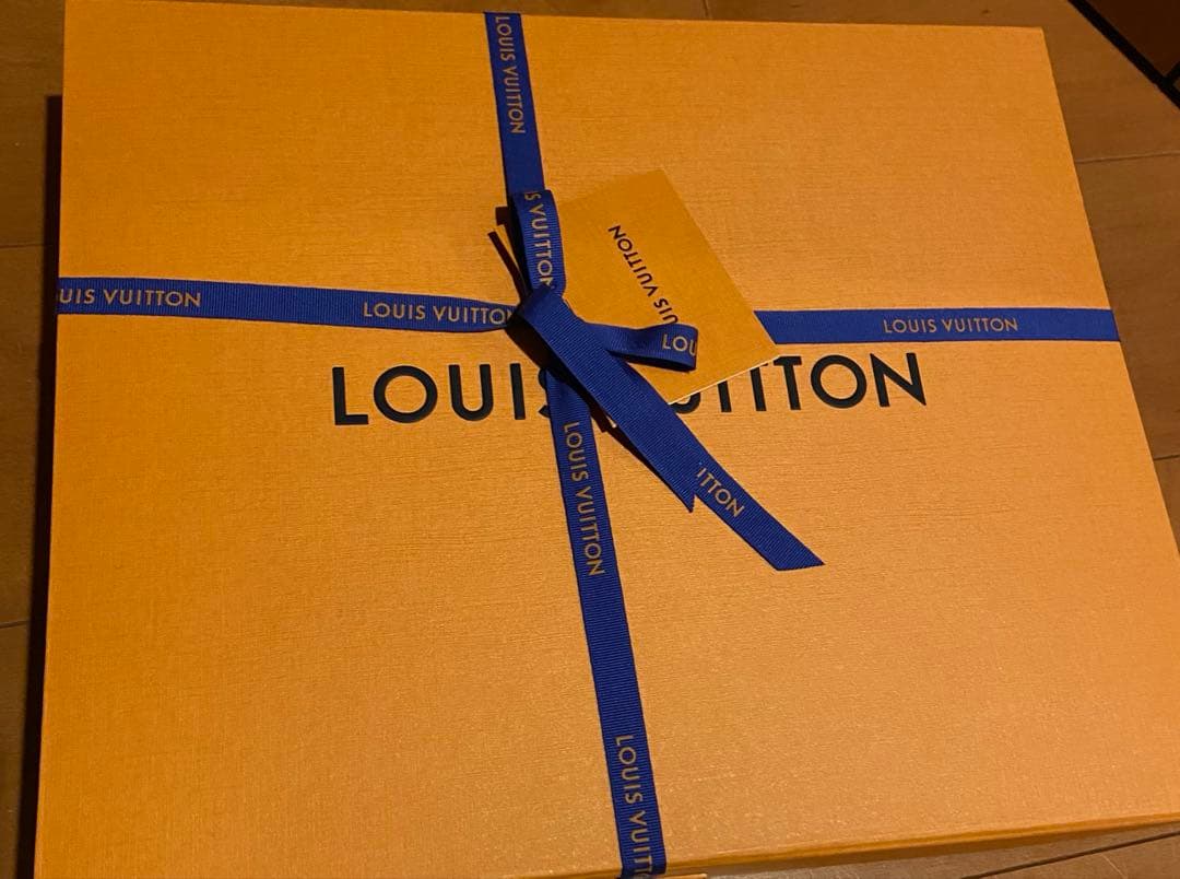 本日限定価格Louis Vuitton スピーディ・バンドリエール 25