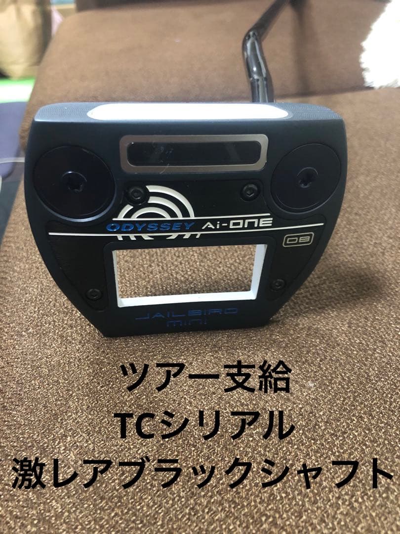 【激レア】ツアー支給品tcシリアル ai:ONE ジェイルバードミニ　34インチ