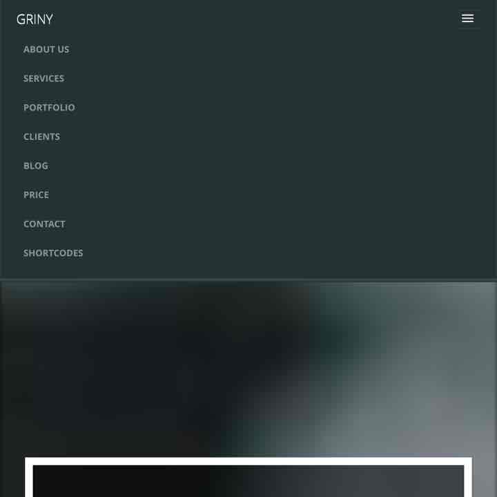 Webサイト運営マニュアル＋おしゃれなwebサイト600種類の中から1つ