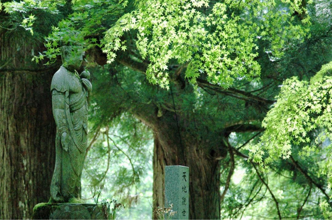 Nikon D70s レンズキット 一式セット 【正常動作品】 | 最終値下げ