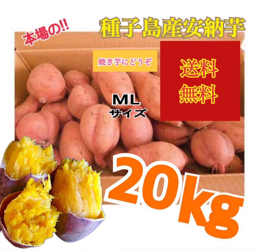 安納芋種子島産　MLのサイズ20kg さつまいも　安納芋　紅　#202