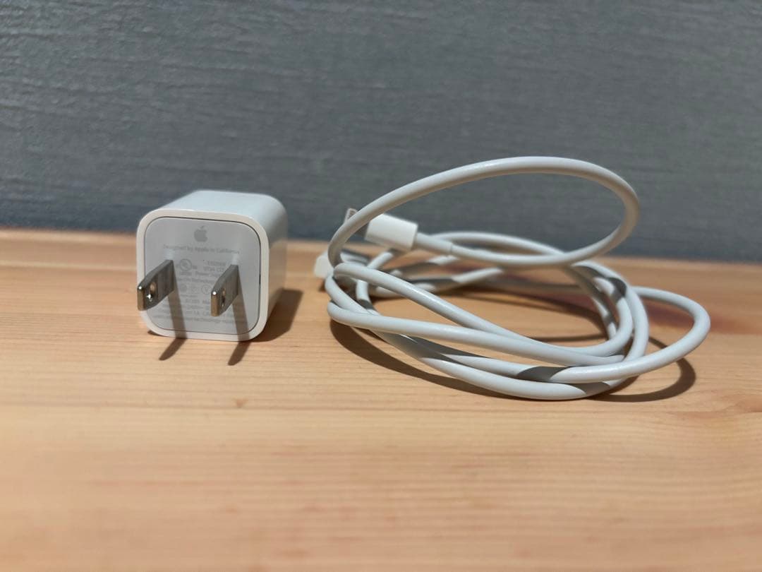 【中古品】iPhone SE 第1世代 64GB スペースグレイ　　　充電器付き