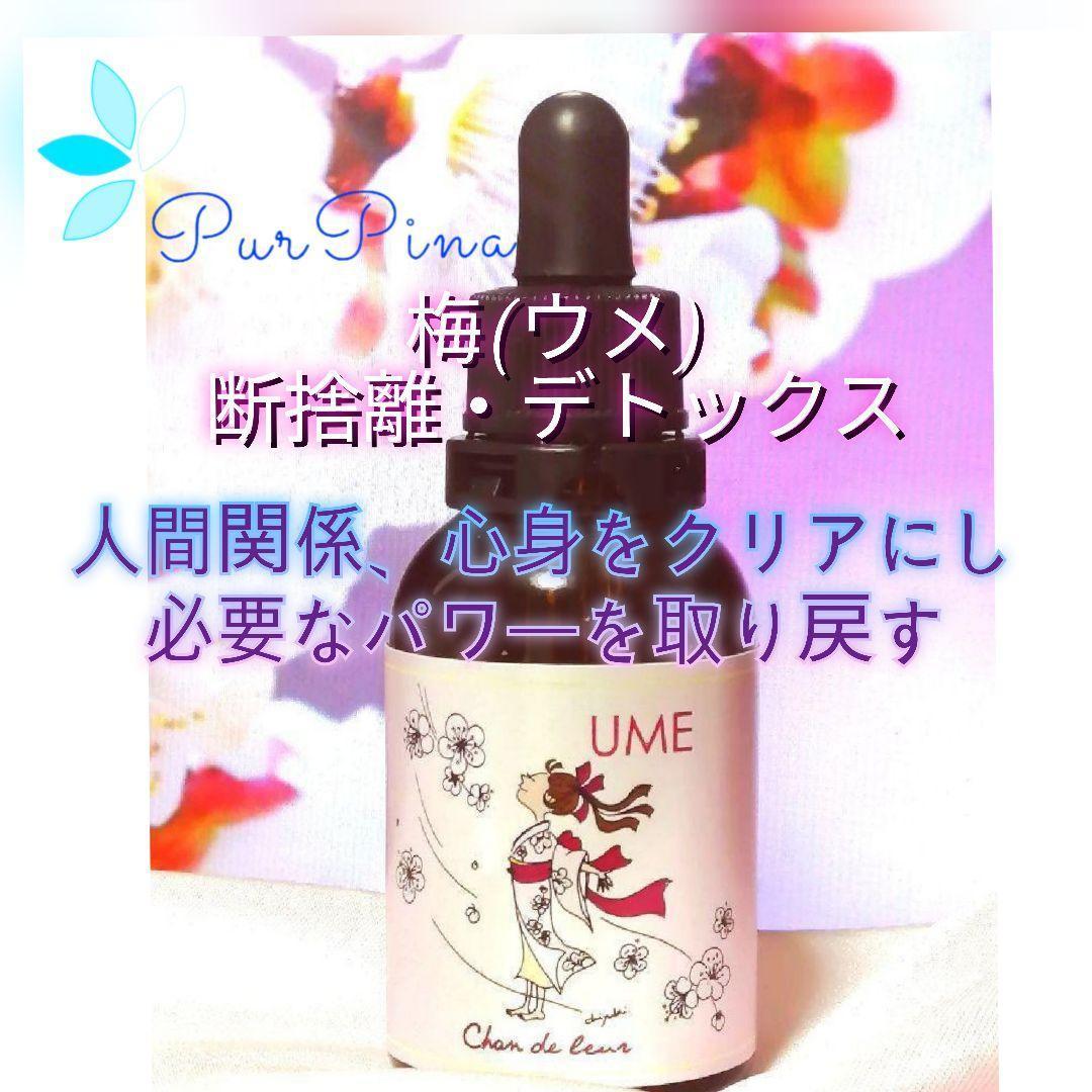 【専用】ファシネーション　 DTWフラワーエッセンス　他