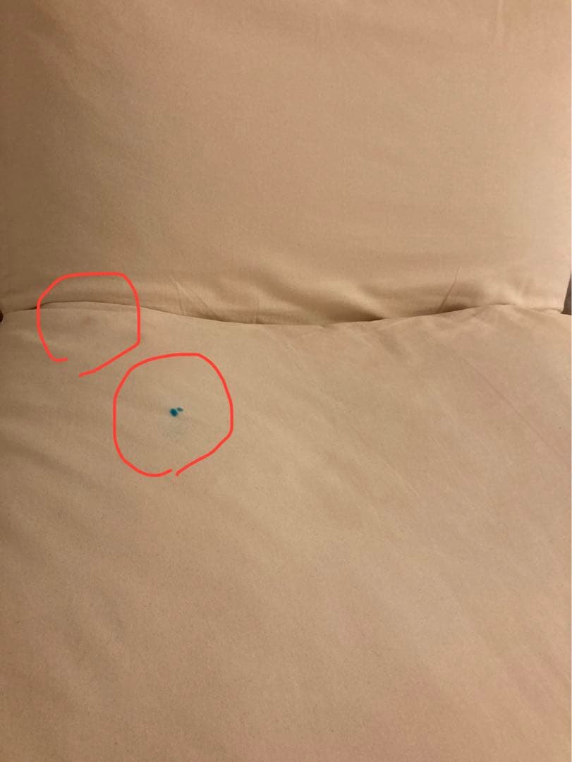 ジャーナルスタンダードファニチャー　ロデチェア RODEZ CHAIR ソファ